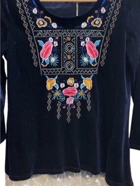 entro Blue Velvet Tunic Top